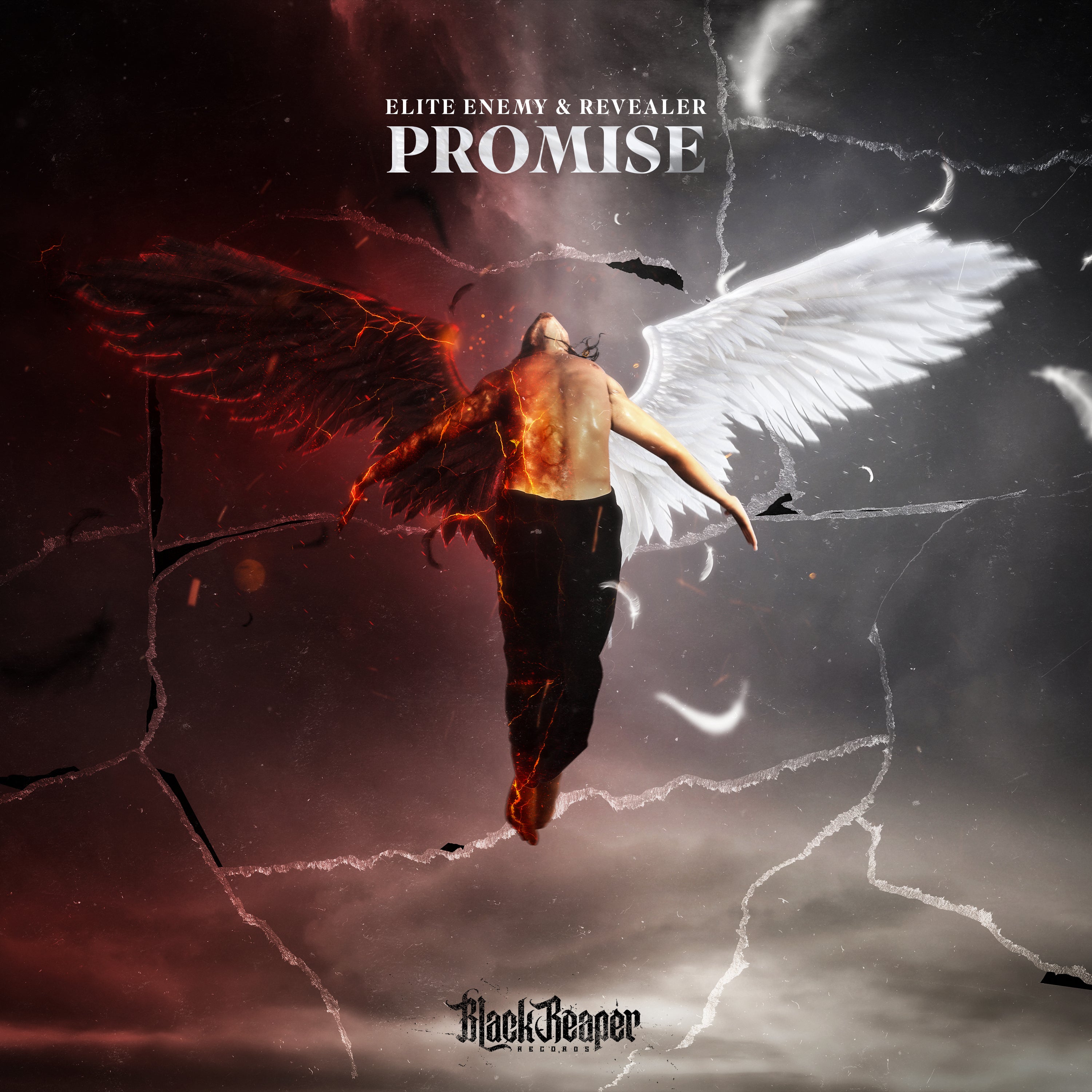 Elite Enemy & Revealer - Promise